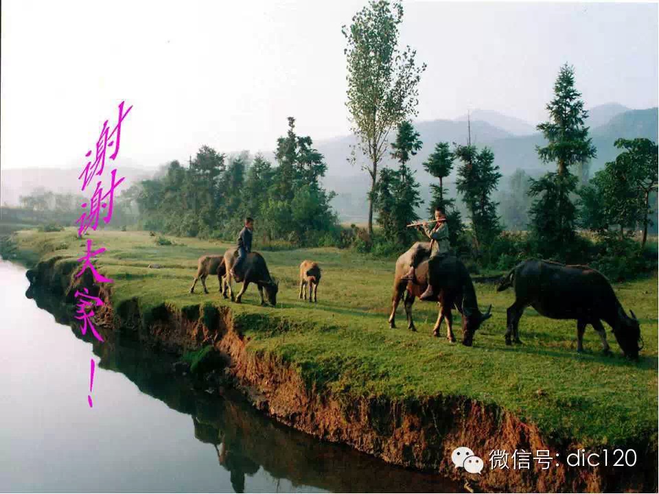 肺静脉畸形引流