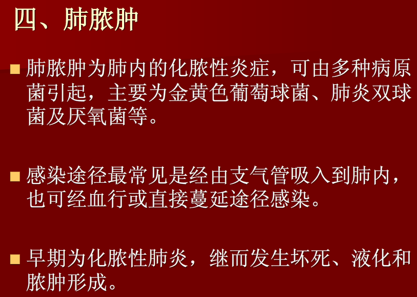 肺炎与肺结核影像诊断