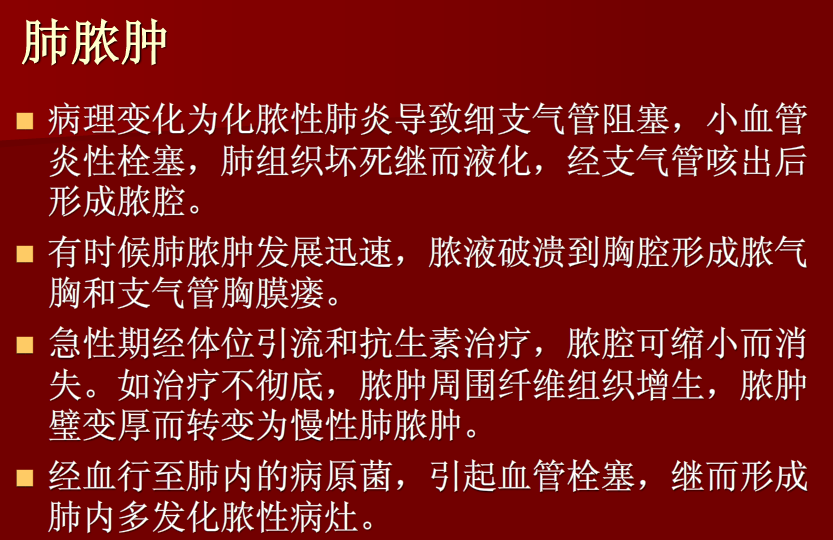 肺炎与肺结核影像诊断
