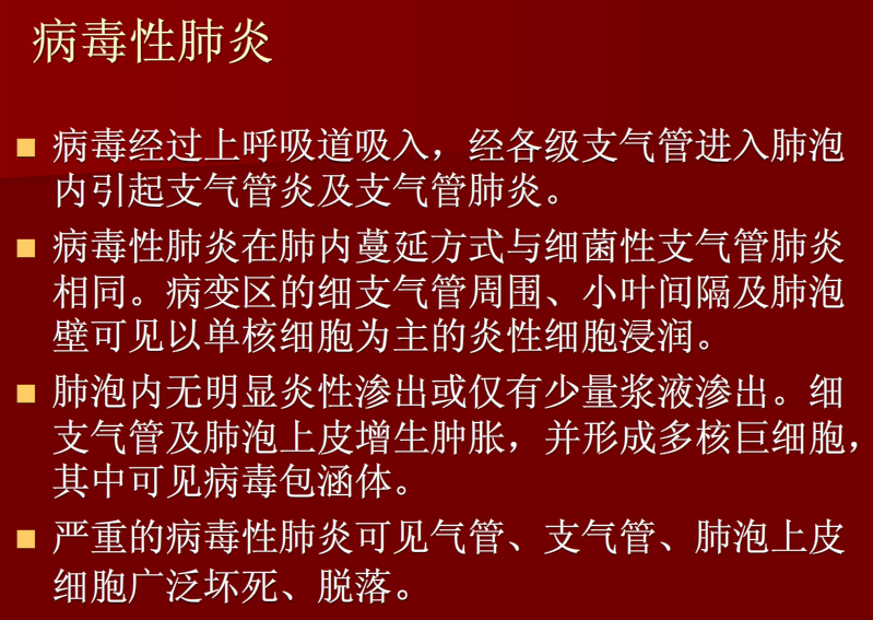 肺炎与肺结核影像诊断