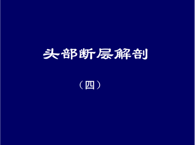 脑血管的影像解剖