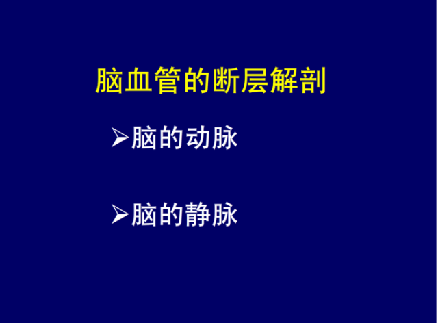 脑血管的影像解剖