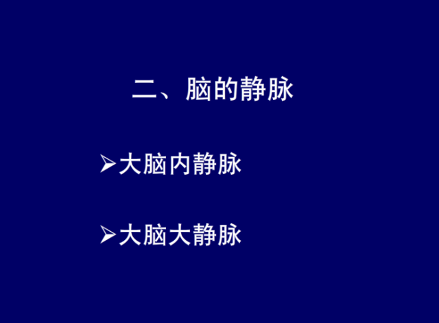 脑血管的影像解剖