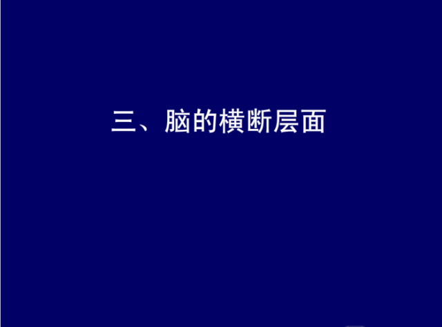 脑血管的影像解剖