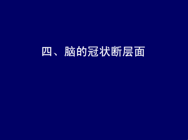 脑血管的影像解剖
