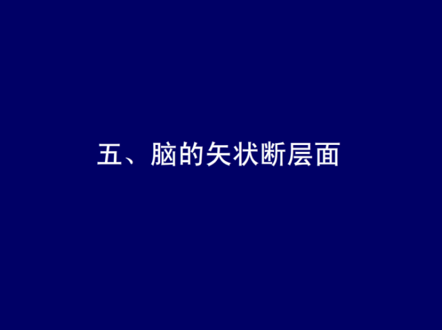 脑血管的影像解剖
