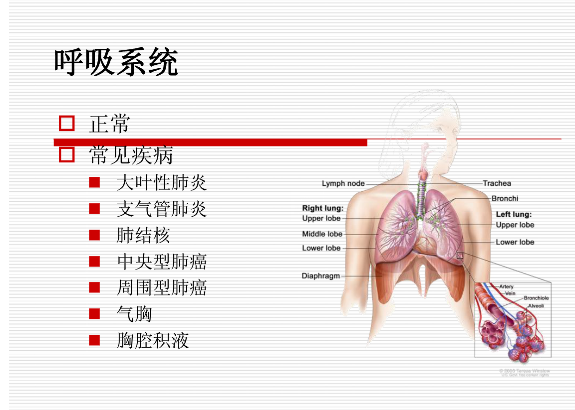常见疾病的X线与CT诊断学