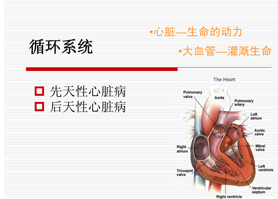 常见疾病的X线与CT诊断学