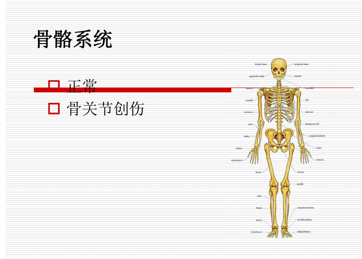 常见疾病的X线与CT诊断学