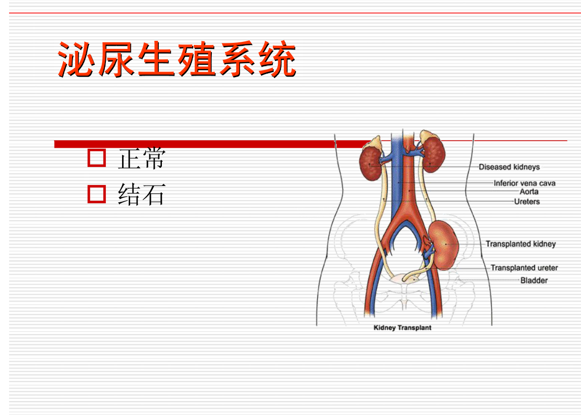 常见疾病的X线与CT诊断学