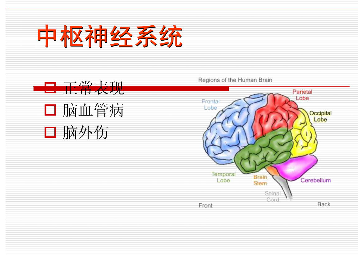 常见疾病的X线与CT诊断学