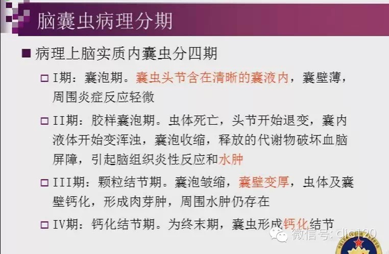 脑内环形强化病变影像诊断思路