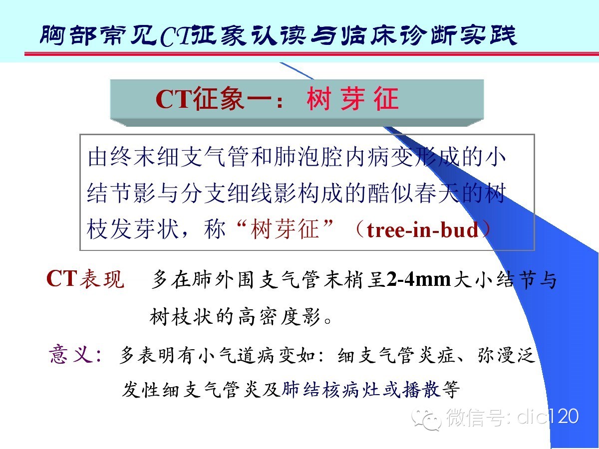 肺部CT十大征象诊断应用