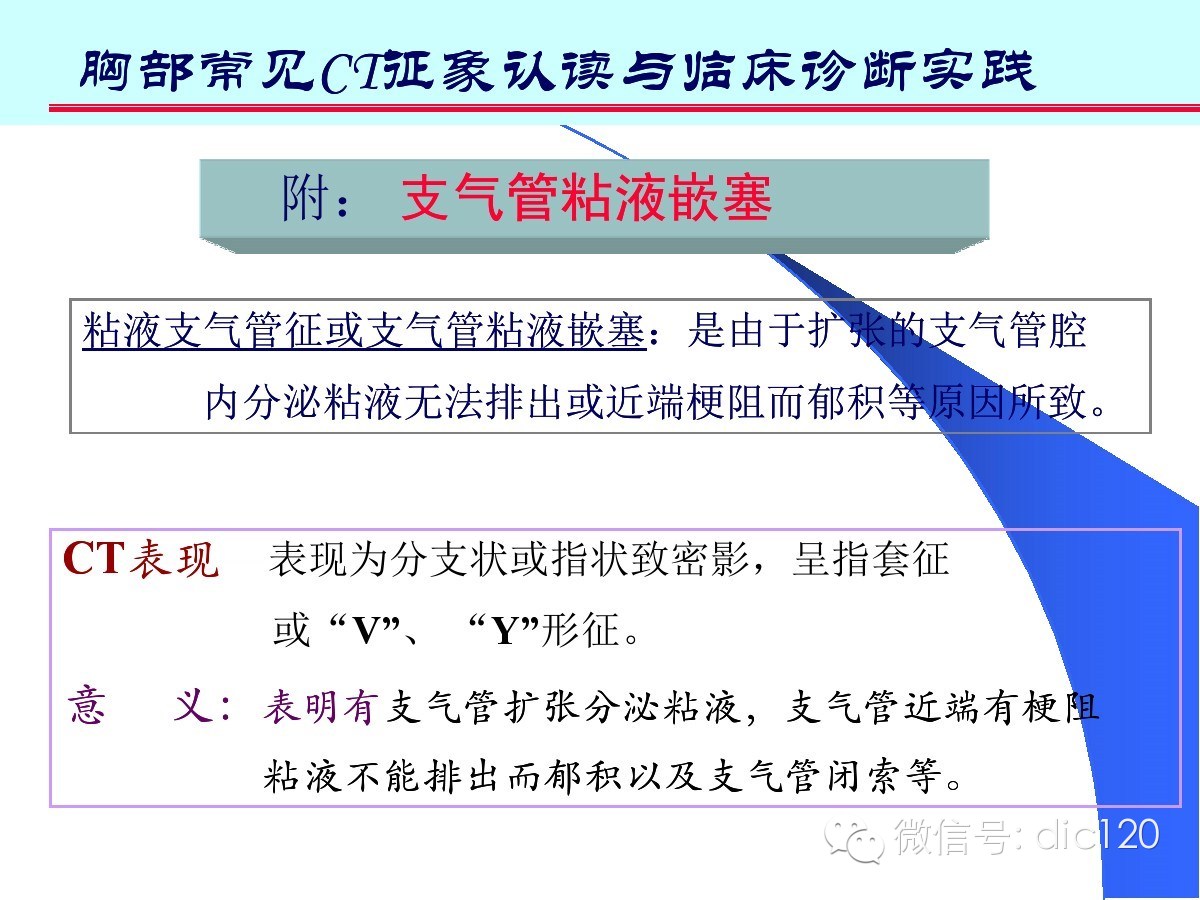 肺部CT十大征象诊断应用