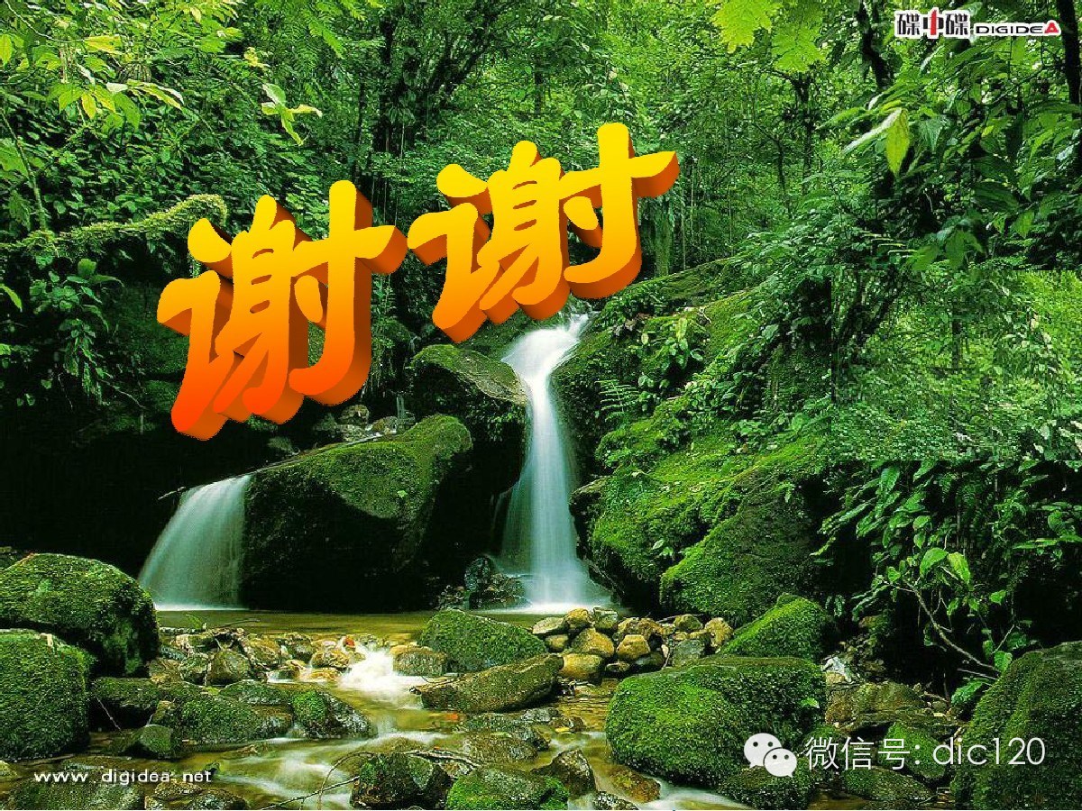 肺部CT十大征象诊断应用