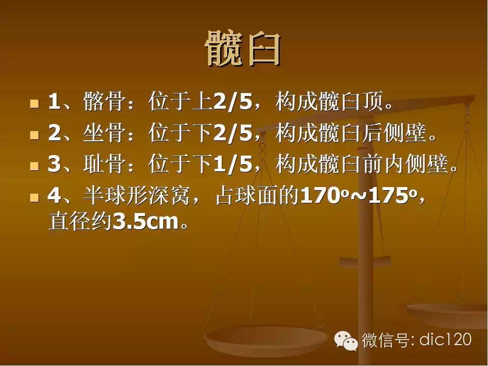 股骨头缺血坏死的影像学表现