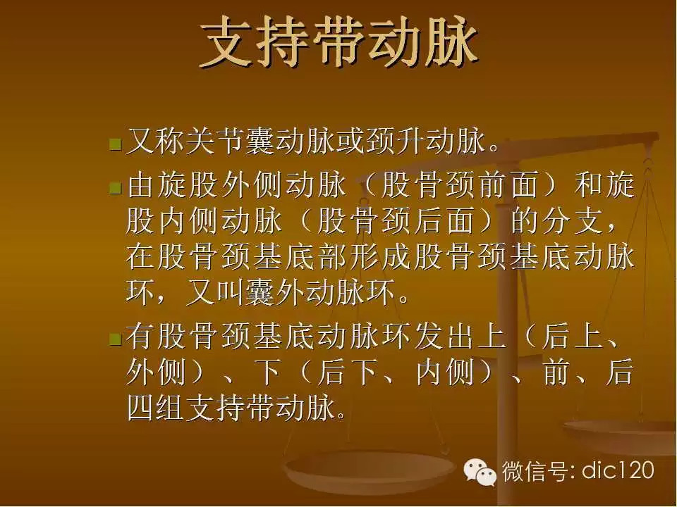 股骨头缺血坏死的影像学表现