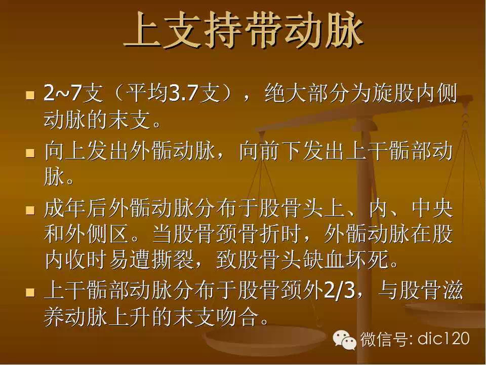 股骨头缺血坏死的影像学表现