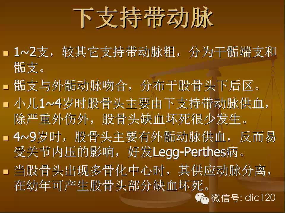 股骨头缺血坏死的影像学表现