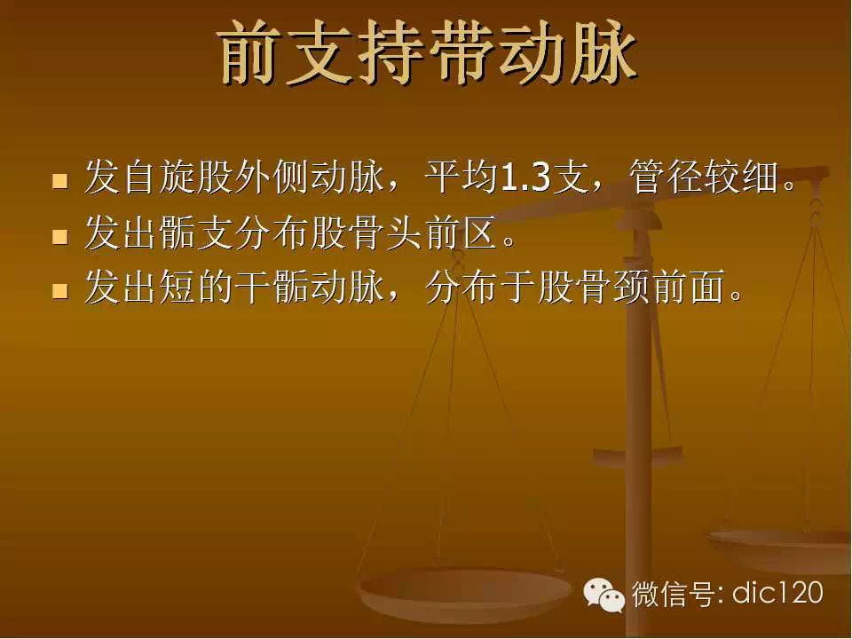 股骨头缺血坏死的影像学表现