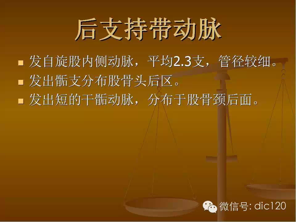 股骨头缺血坏死的影像学表现