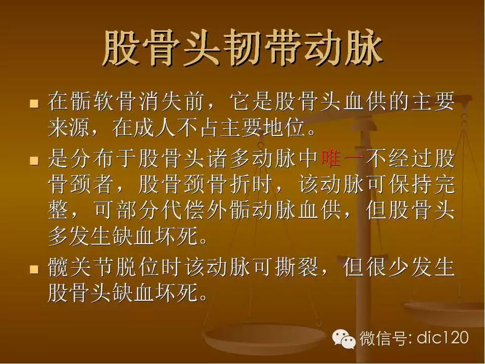 股骨头缺血坏死的影像学表现