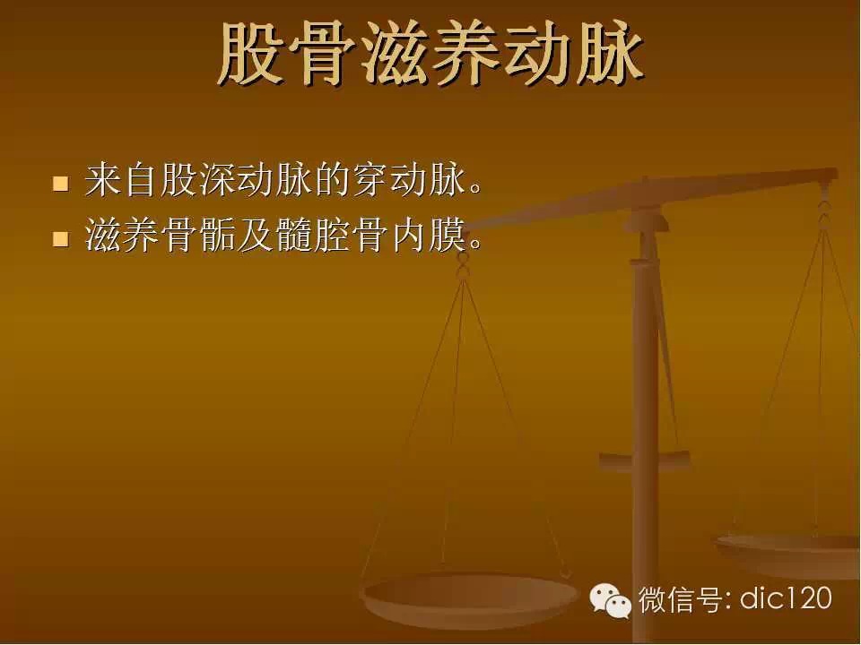 股骨头缺血坏死的影像学表现