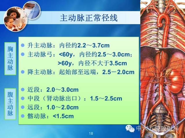 主动脉病变病理基础和影像表现