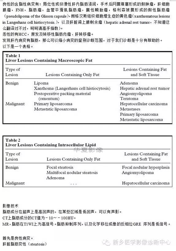 肝内含脂性良性病变