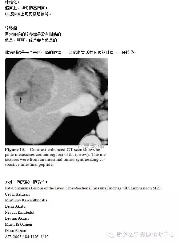 肝内含脂性良性病变