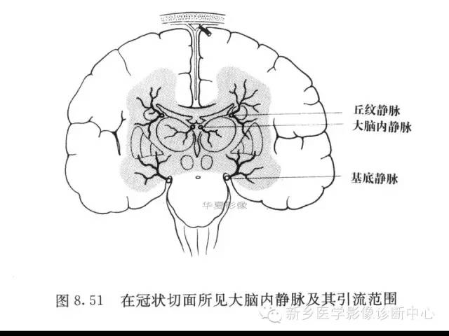 【病例学习】静脉窦血栓一例MR影像学表现