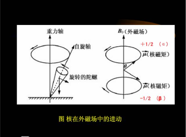 核磁共振基本知识
