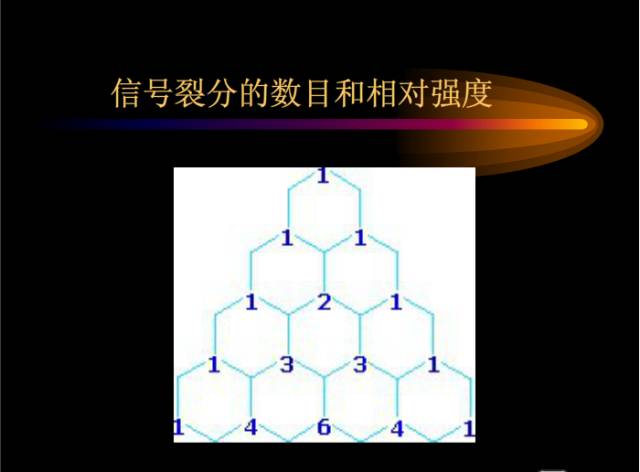 核磁共振基本知识