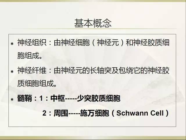 关于部分外周神经源性肿瘤的关系的初探