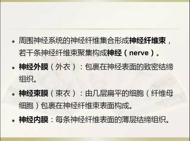 关于部分外周神经源性肿瘤的关系的初探
