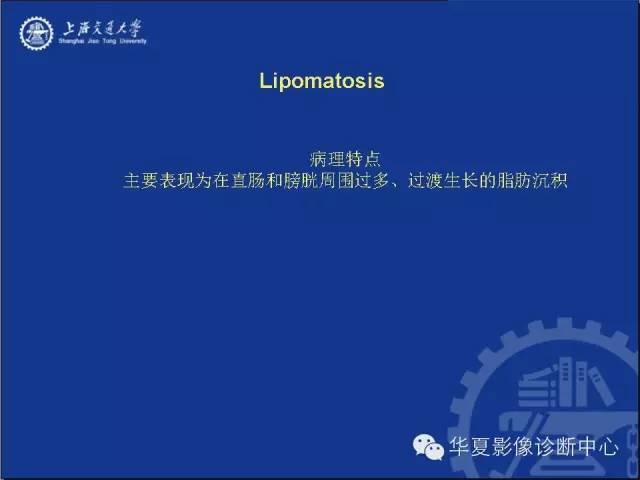 腹膜后含有脂肪成分病变 影像和病理对照