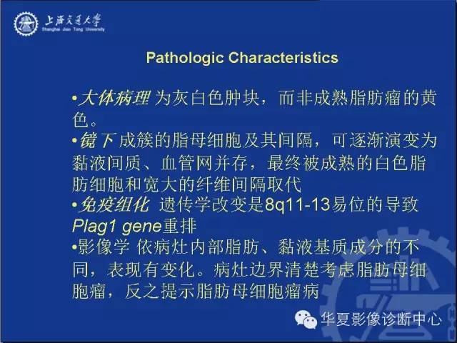 腹膜后含有脂肪成分病变 影像和病理对照