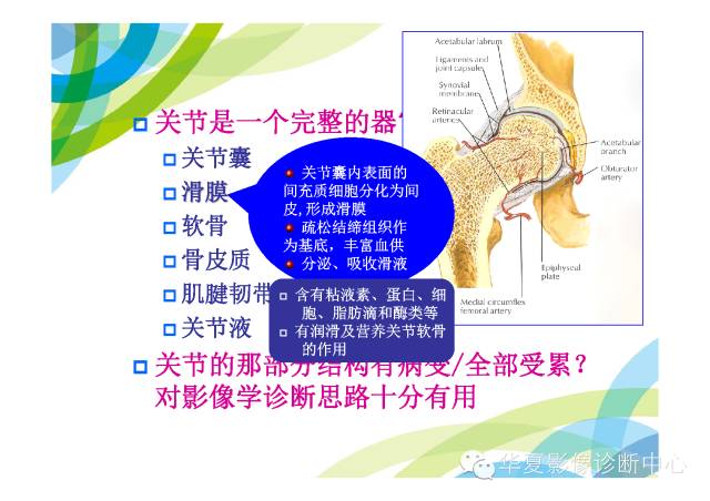 【PPT】骨肌系统影像学基本征象的再认识