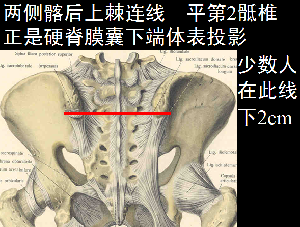 椎管解剖