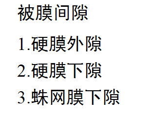 椎管解剖