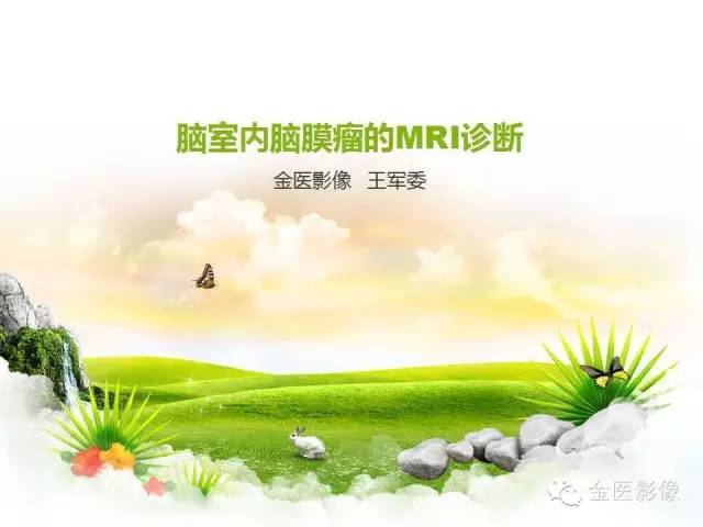 【PPT】脑室内脑膜瘤的MRI诊断