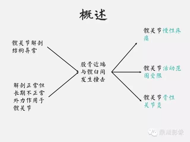 【PPT】髋关节撞击综合症