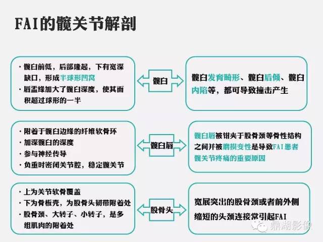 【PPT】髋关节撞击综合症