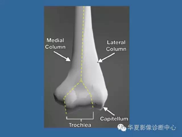【PPT】肘关节外伤影像学评价