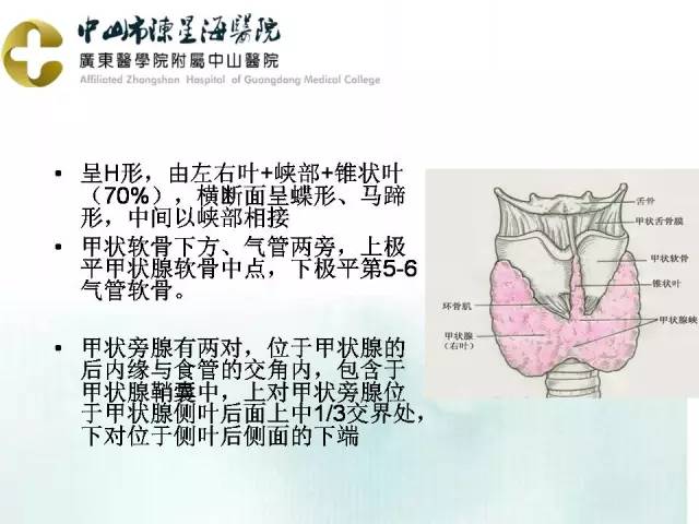 【PPT】甲状腺疾病CT诊断