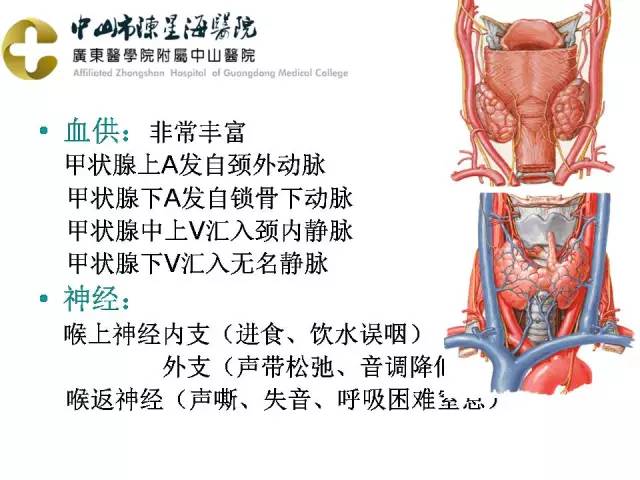 【PPT】甲状腺疾病CT诊断