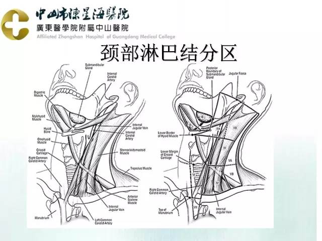 【PPT】甲状腺疾病CT诊断