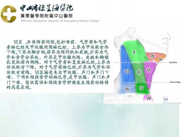 【PPT】甲状腺疾病CT诊断