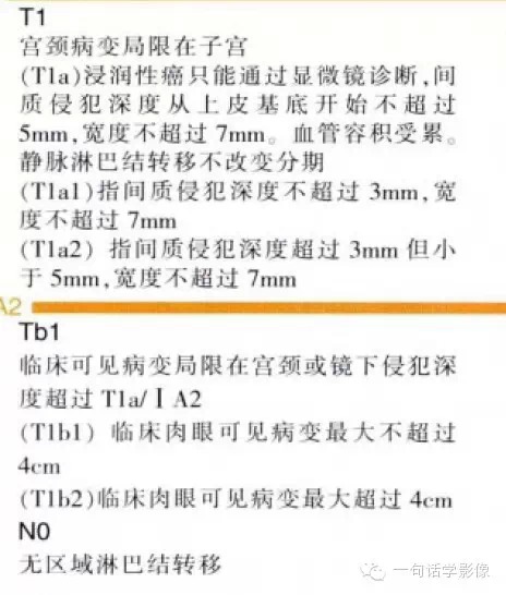 宫颈癌分期及图解