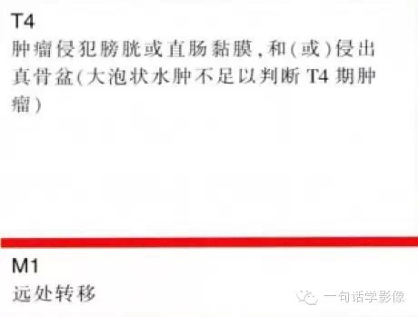 宫颈癌分期及图解